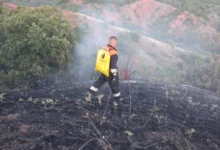 Photo of Од 20 до 30 хектари е опожарената површина во Штипско, пожарот е под контрола