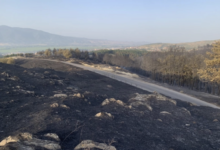 Photo of Пожарот во Штип е изгаснат