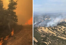 Photo of (Видео) Голем шумски пожар во Шпанија: Изгореа над 330 хектари, евакуирани куќи