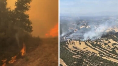 Photo of (Видео) Голем шумски пожар во Шпанија: Изгореа над 330 хектари, евакуирани куќи