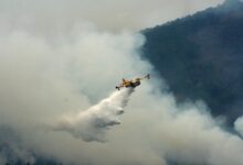 Photo of Голем шумски пожар беснее на Евбеја, наредени евакуации на населението