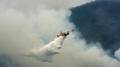 Photo of Голем шумски пожар беснее на Евбеја, наредени евакуации на населението