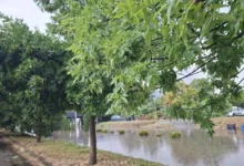 Photo of Ѓорѓиевски: Кризниот штаб и екипите на јавните претпријатија се на терен и се справуваат со последиците од невремето