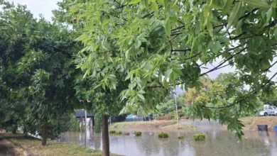 Photo of Ѓорѓиевски: Кризниот штаб и екипите на јавните претпријатија се на терен и се справуваат со последиците од невремето