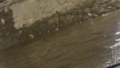 Photo of ЦУК: Невремето во Скопје предизвика поплави и заглавени возила, најпогодени Кисела Вода, Чаир, Бутел и Гази Баба