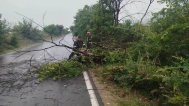 Photo of Невремето во Струмичко предизвика неколку пожари и штети на посевите