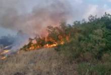 Photo of Голем пожар во источна Албанија, евакуирани 11 семејства
