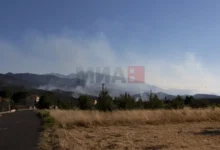 Photo of Во шумските пожари во Франција изгореа 17.000 хектари земјиште