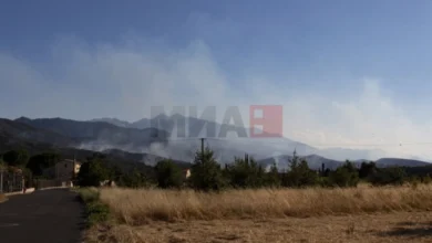 Photo of Во шумските пожари во Франција изгореа 17.000 хектари земјиште