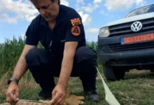 Photo of Артилериска граната пронајдена кај битолското село Меџитлија