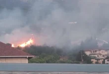 Photo of Изгаснат пожарот што вчера гореше кај Охрид