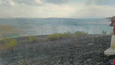 Photo of Гром предизвика пожар кај село Макреш, изгореа околу 15 хектари