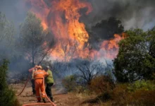 Photo of Два пожари во францускиот департман Горна Корзика се шират, изгореа 400 хектари земја