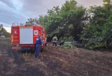 Photo of Невремето предизвика пожари, паднати дрвја и прекини на струја во Куманово и Старо Нагоричане
