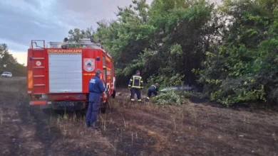 Photo of Невремето предизвика пожари, паднати дрвја и прекини на струја во Куманово и Старо Нагоричане