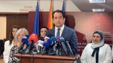 Photo of Влен: Не може дијаспората само да испраќа пари, треба и да гласа