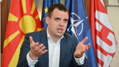 Photo of Богоев за мерките за напаѓачите од Ченто кои седум пати избодеа дете: „Од осмиот убод се брои изгледа“