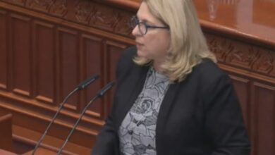 Photo of Николова од СДСМ: Во оваа Влада ако не успеете на една, ве преместуваат на друга функција