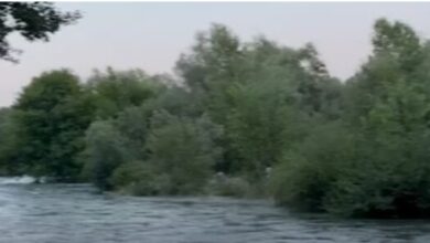 Photo of Спасувачка акција на Треска: Извлечени три лица што ги однела надојдената вода