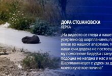 Photo of Ќерката на Сашка Стојановска откри што точно се случувало вчера во Улцињ