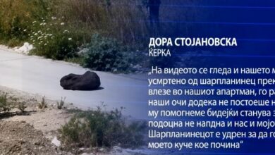 Photo of Ќерката на Сашка Стојановска откри што точно се случувало вчера во Улцињ