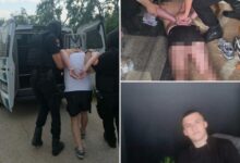 Photo of ПРВИ ФОТОГРАФИИ: Уапсен атентаторот од Македонија Андреј Танасковски