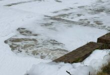 Photo of Првичните анализи за пената во Вардар се во границите на дозволеното – велат од МЖСПП