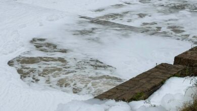 Photo of Првичните анализи за пената во Вардар се во границите на дозволеното – велат од МЖСПП