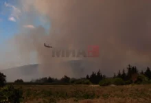 Photo of Пожарникарите се борат да стават под контрола неколку пожари во јужна Франција