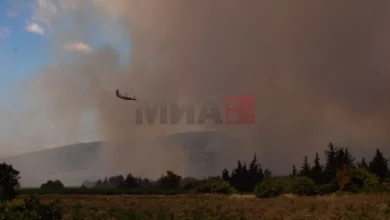 Photo of Пожарникарите се борат да стават под контрола неколку пожари во јужна Франција