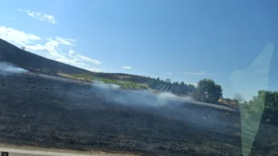 Photo of Попладнево изби и трет пожар во Општина Штип помеѓу објектите на Штипска млекара и текстилната конфекција „Албатрос“
