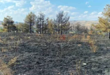 Photo of ЦУК: Девет пожари на отворено до 18 часот, два сѐ уште активни