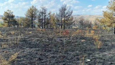 Photo of ЦУК: Девет пожари на отворено до 18 часот, два сѐ уште активни