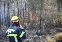 Photo of Обвинет и притворен маж за повеќе намерно предизвикани пожари на југот на Франција
