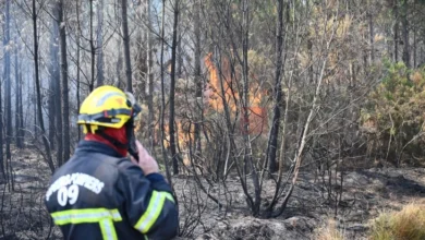 Photo of Обвинет и притворен маж за повеќе намерно предизвикани пожари на југот на Франција