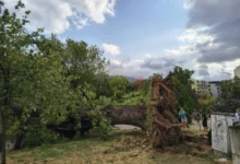 Photo of Над 1000 повици од граѓани во ЦУК по невремето во Скопје, паднати дрвја, покриви, оштетени возила,…