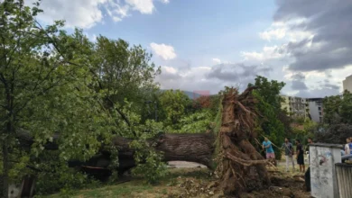 Photo of Над 1000 повици од граѓани во ЦУК по невремето во Скопје, паднати дрвја, покриви, оштетени возила,…