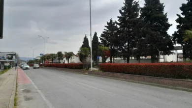 Photo of Над 200 прекршоци за брзо возење само во раните утрински часови евидентирани од ПС Гевгелија за време на летната сезона