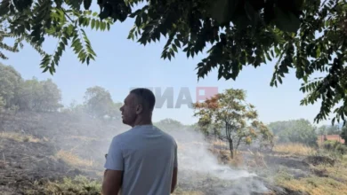 Photo of Видео: ЦУК: Пожарот во парк-шумата Гази Баба е ставен под контрола