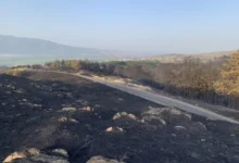 Photo of ЦУК: Во изминатото деноноќие регистрирани 17 пожари на отворено, еден е под контрола