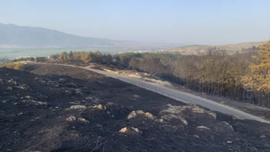 Photo of ЦУК: Во изминатото деноноќие регистрирани 17 пожари на отворено, еден е под контрола