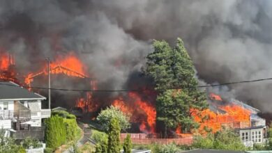 Photo of Повеќе од 100 куќи уништени во пожар во Норвешка