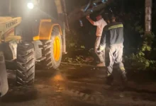 Photo of Силно невреме го погоди Стар Дојран, десетици дрвја на повеќе локации оштетија настрешници, возила, покрив и опрема на плажите