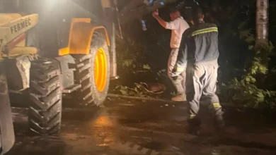 Photo of Силно невреме го погоди Стар Дојран, десетици дрвја на повеќе локации оштетија настрешници, возила, покрив и опрема на плажите
