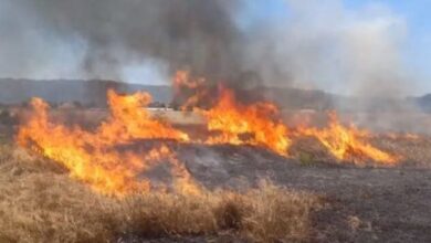 Photo of ДЗС апелира: Не фрлајте отпушоци од возила, не палете огнови и скари во шуми…Доволна е само една искра