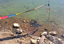 Photo of ДЗС: Артилериска граната тешка 13,6 кг отстранета од плажа на Дојранското Езеро