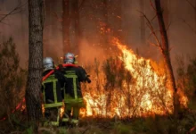 Photo of Зеленски понуди помош од Украина за гаснење на пожарите во Франција