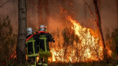 Photo of Зеленски понуди помош од Украина за гаснење на пожарите во Франција