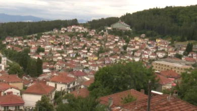 Photo of Во Крушево почнува манифестацијата „10 Дена Крушевска Република“
