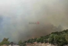 Photo of Продолжува гаснењето на пожарот во централна Грција – во текот на ноќта евакуирани села